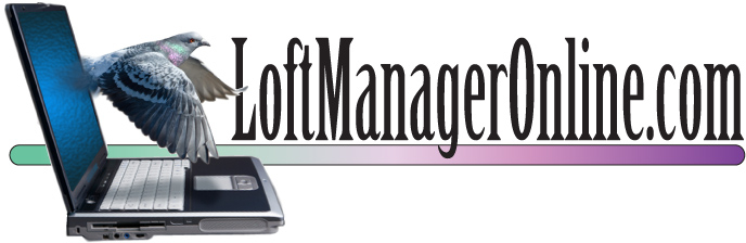 loft manager online
